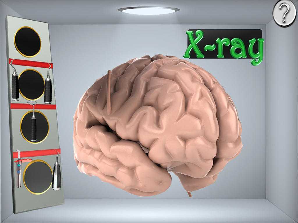 Brain Lab Worksheet and App Shopper Brain Surgery Game Hd Games