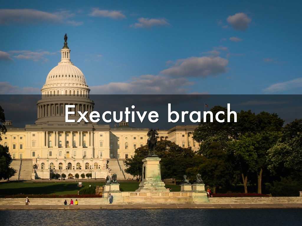 Branches Of Government Worksheet Pdf Also Executive Branch by Karen Almazan
