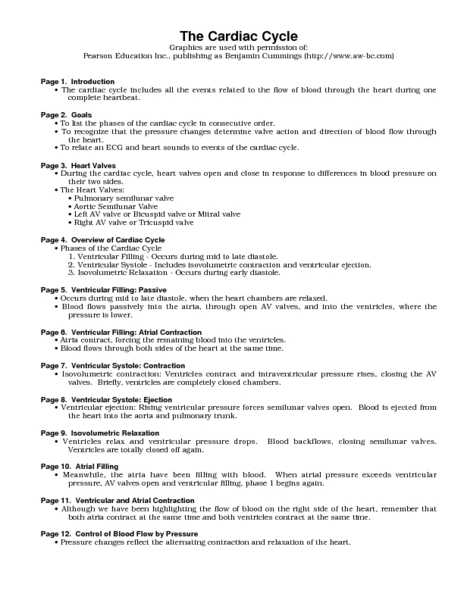 Carbon Cycle Worksheet Answer Key as Well as Carbon Cycle Prehension Worksheet Answers the Best Worksheets