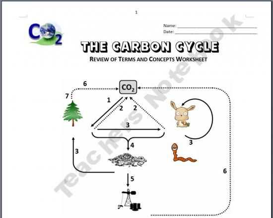 Carbon Cycle Worksheet Answers as Well as the Carbon Cycle Review Worksheets 6th Grade Science