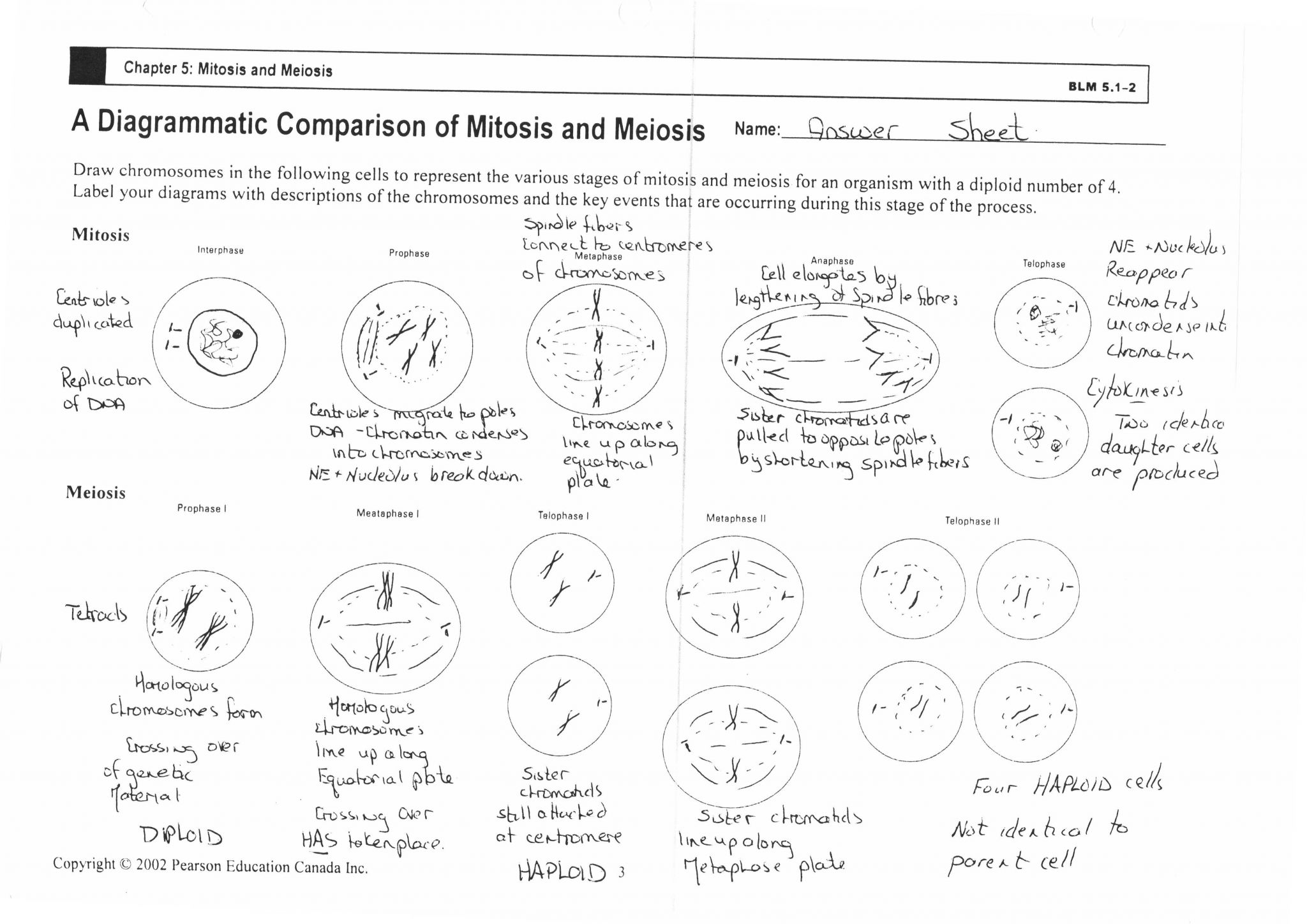 Cell Concept Map Worksheet Answers with Cell Division Worksheet 5b A9b Battk