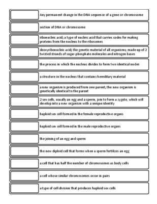 Cell Cycle Vocabulary Worksheet Answer Key Also Mitosis Activity Sheet aslitherair