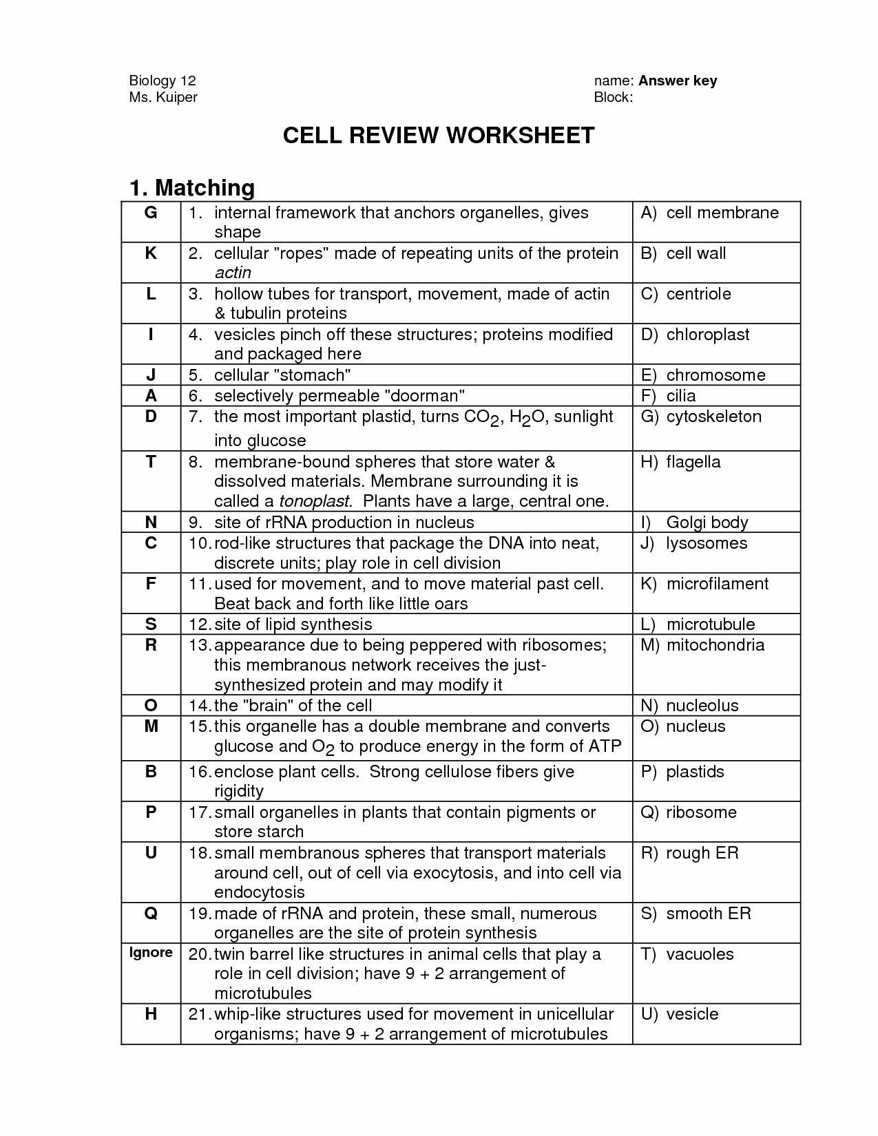 Cell organelles Worksheet Answer Key Along with Cells organelles Worksheet Worksheet for Kids In English