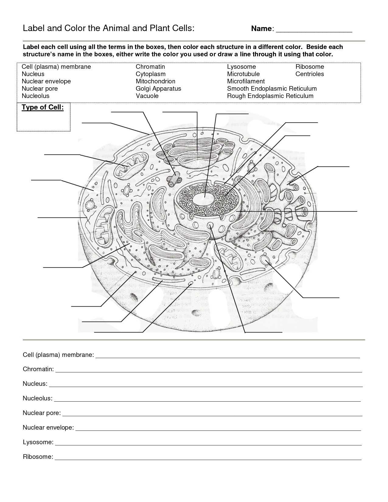 Cell Parts and Functions Worksheet Answers Also Cell Membrane Diagram Worksheet Elegant Cell Coloring Pages Cell