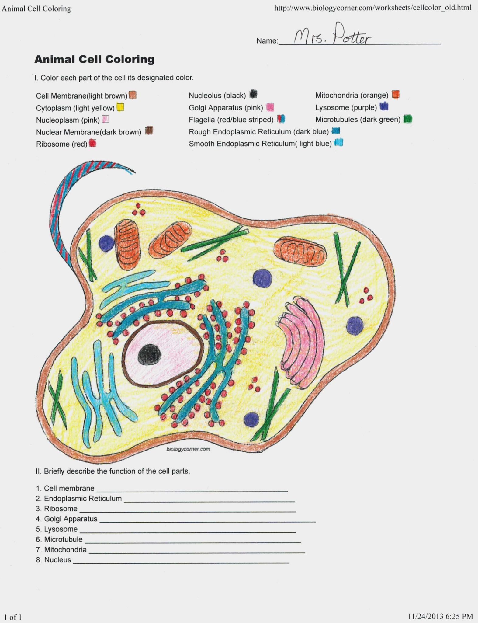 Cell Parts and Functions Worksheet Answers together with Animal Cell Coloring Labeled