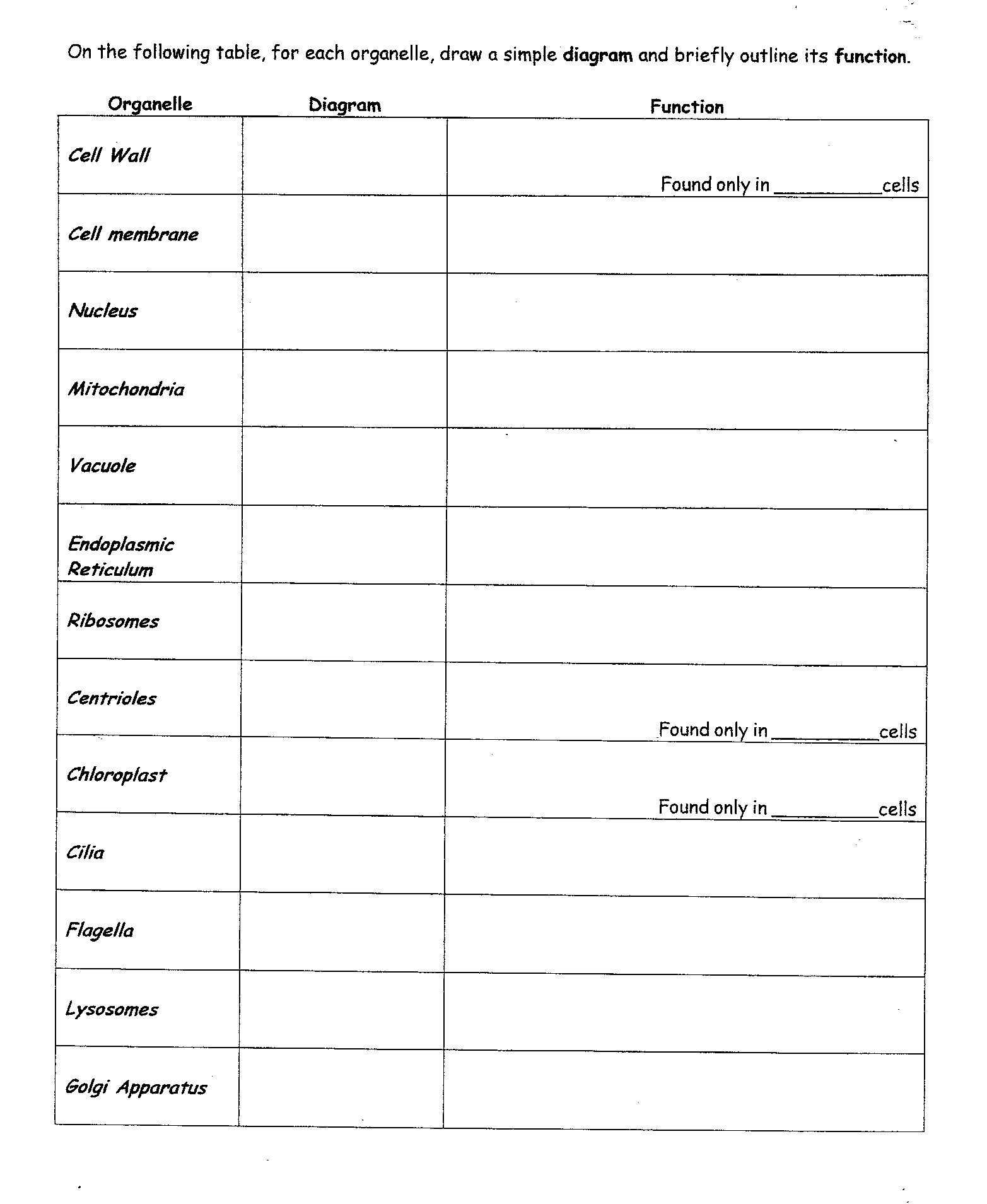 Cell Structure and Function Worksheet Also Cell organelle Diagram Unique Eukaryotic Cell Structure and Function