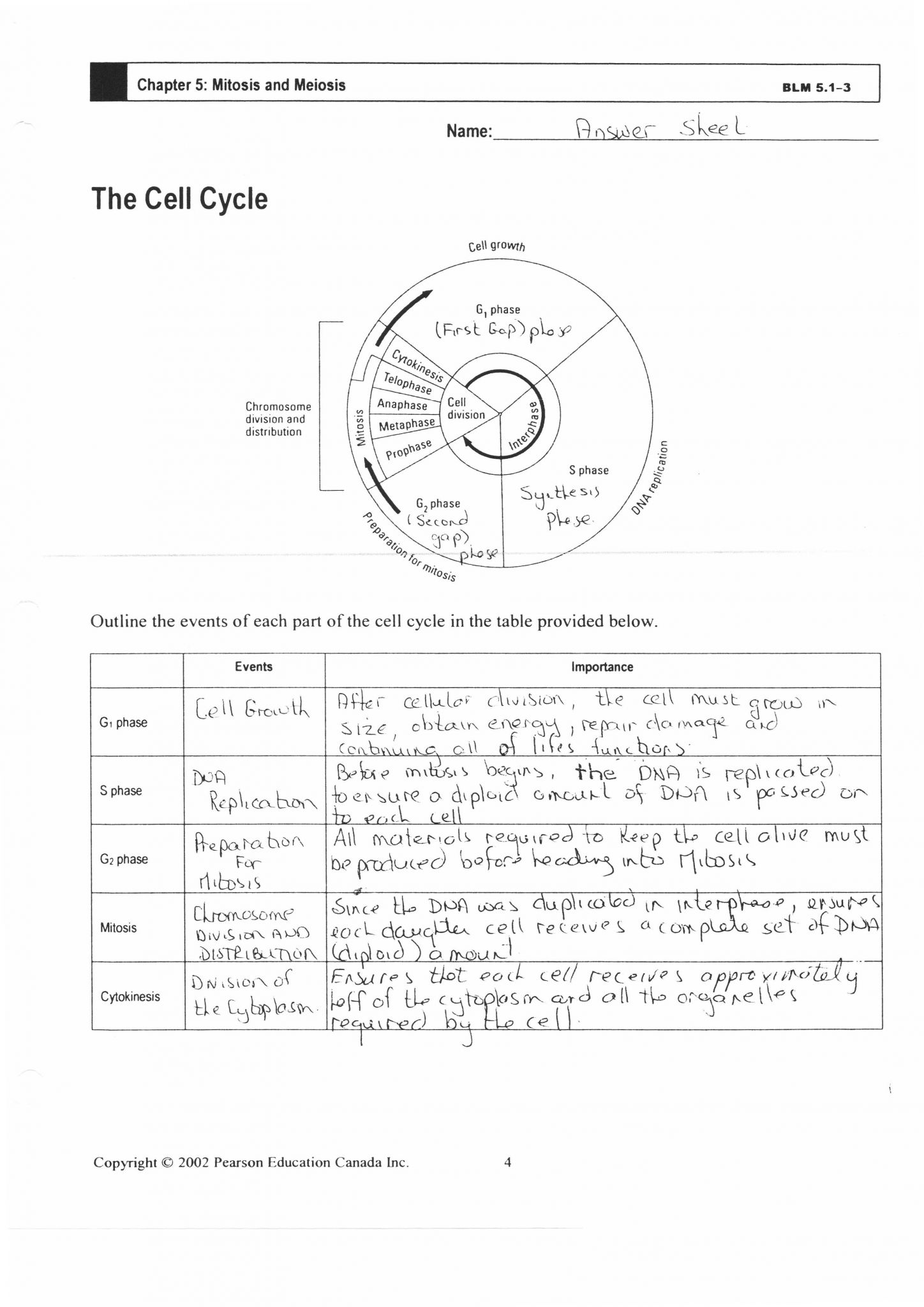 Cell Structure and Processes Worksheet with Cell Division Worksheet Answers 12 1 Kidz Activities