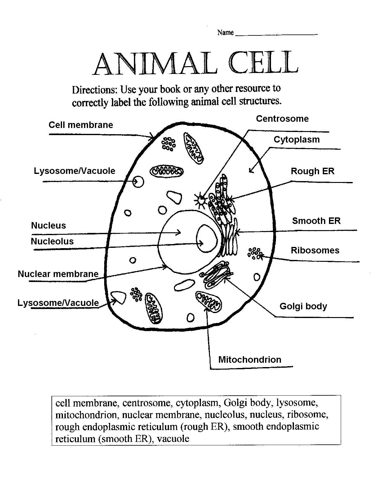 Cells Alive Plant Cell Worksheet Answer Key with Cell Labeling Worksheet Answers Gallery Worksheet for Kids In English