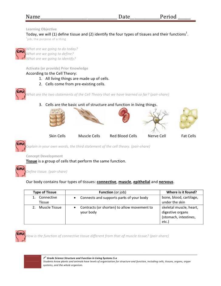 Cells Tissues organs organ Systems Worksheet and Cell & Tissue Handout