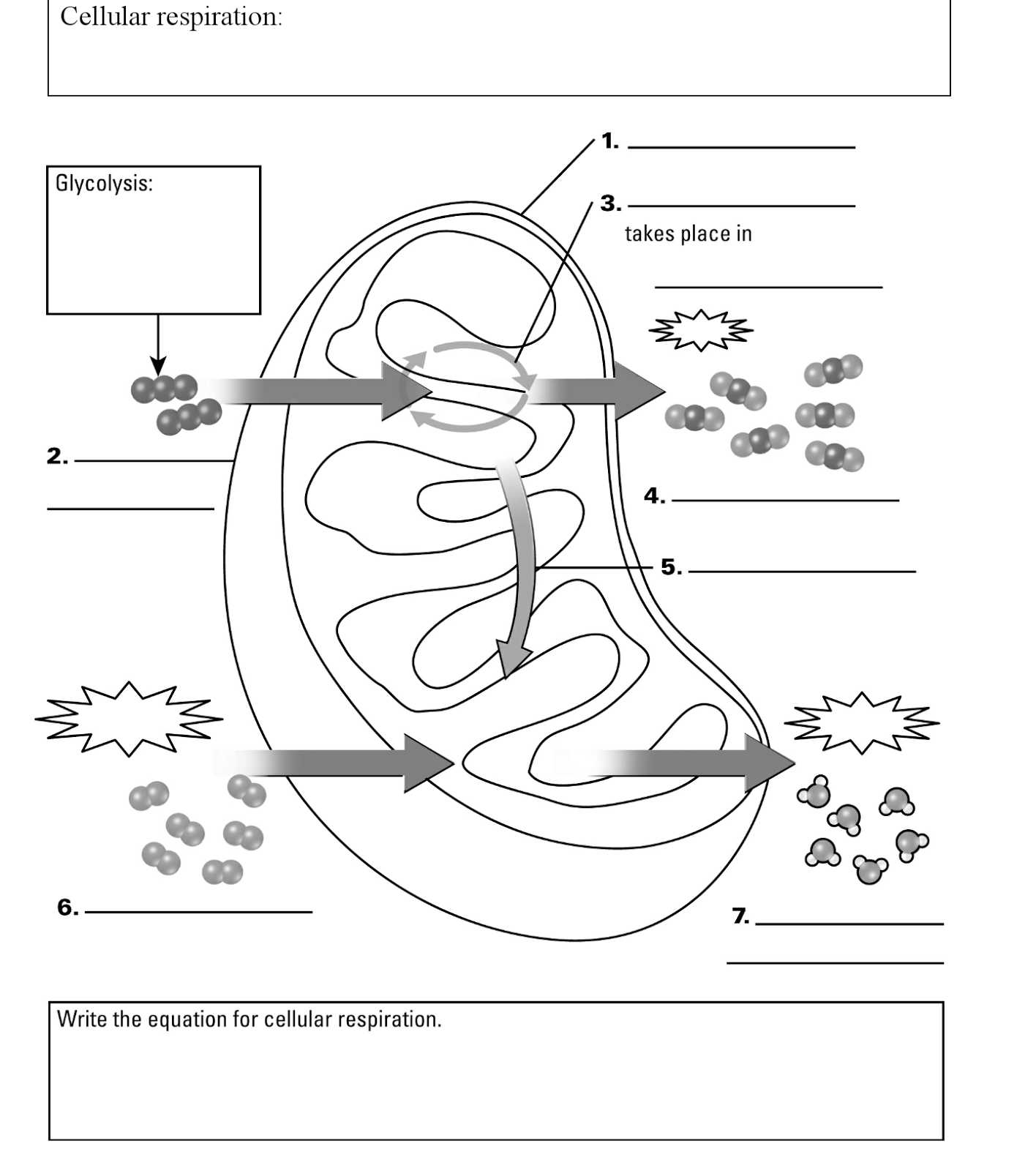 Cellular Respiration Breaking Down Energy Worksheet Along with Mr Lopez S Biology Class October 2015