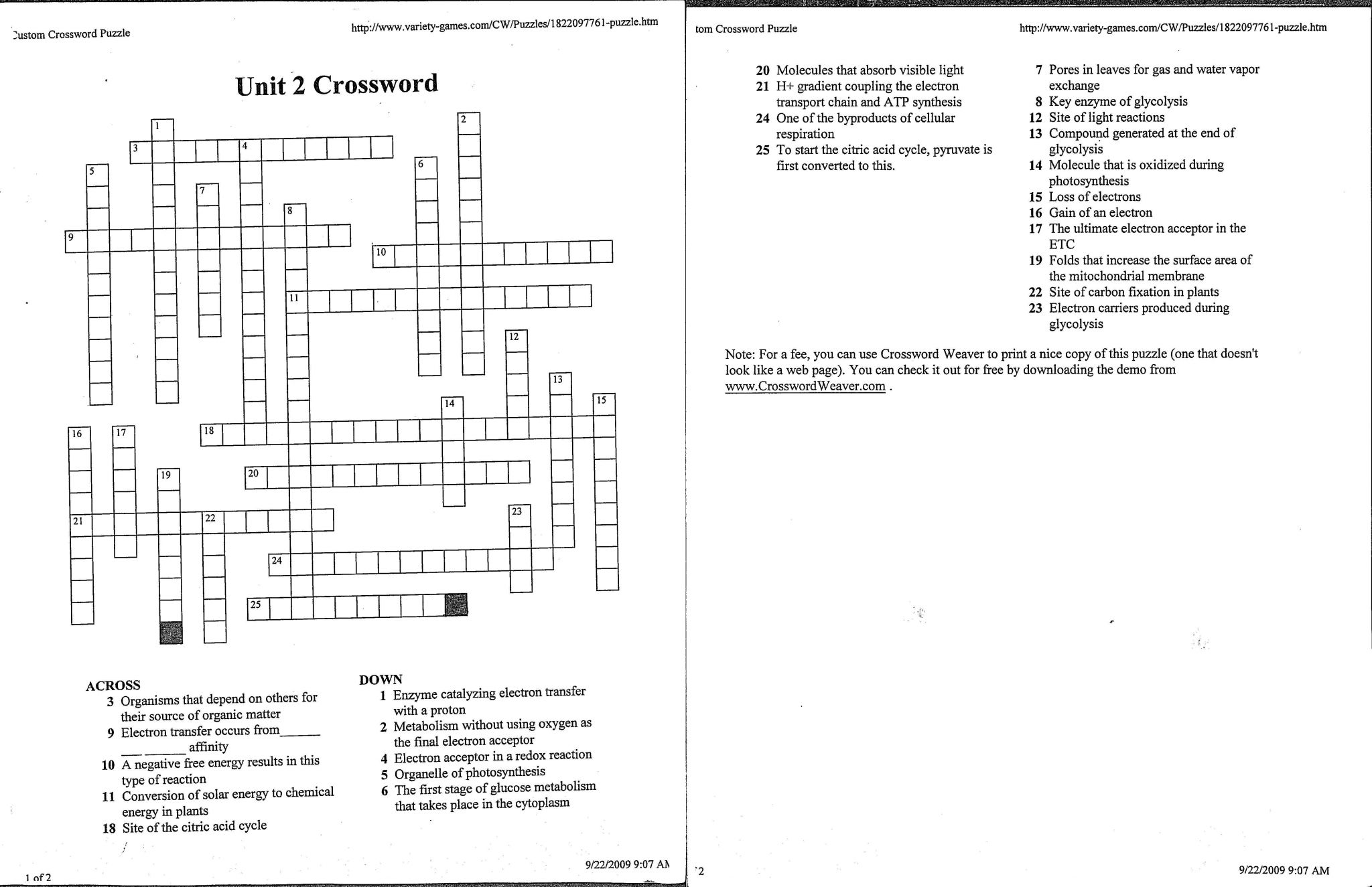Cellular Respiration Breaking Down Energy Worksheet and Synthesis Crossword Puzzleeet Answers Inspirations Puzzle