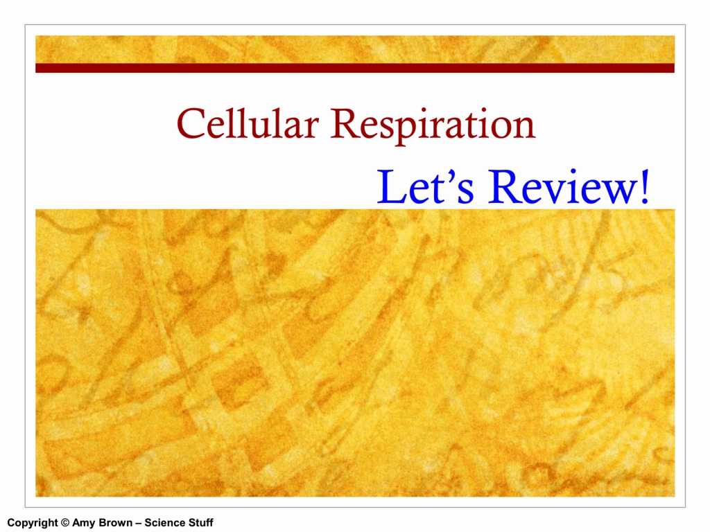 Cellular Respiration Worksheet Answer Key with 92 the Process Cellular Respiration Worksheet Answers Wo