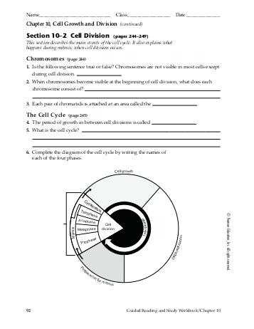 Chapter 10 Cell Growth and Division Worksheet Answer Key and Cell Division Worksheet Answers Animal Cell Mitosis Diagrams