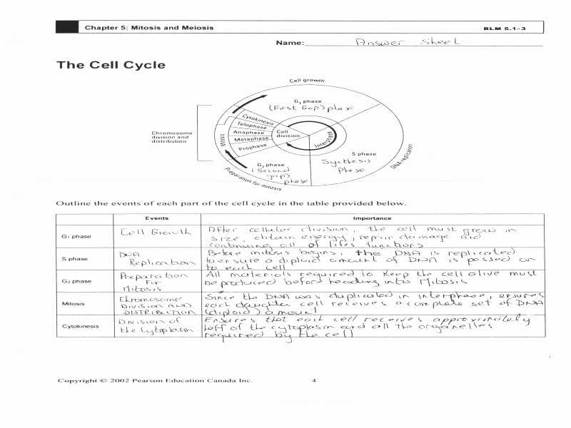 Chapter 10 Cell Growth and Division Worksheet Answer Key as Well as Pearson Education Worksheet Answers Luxury the Cell Cycle Worksheet