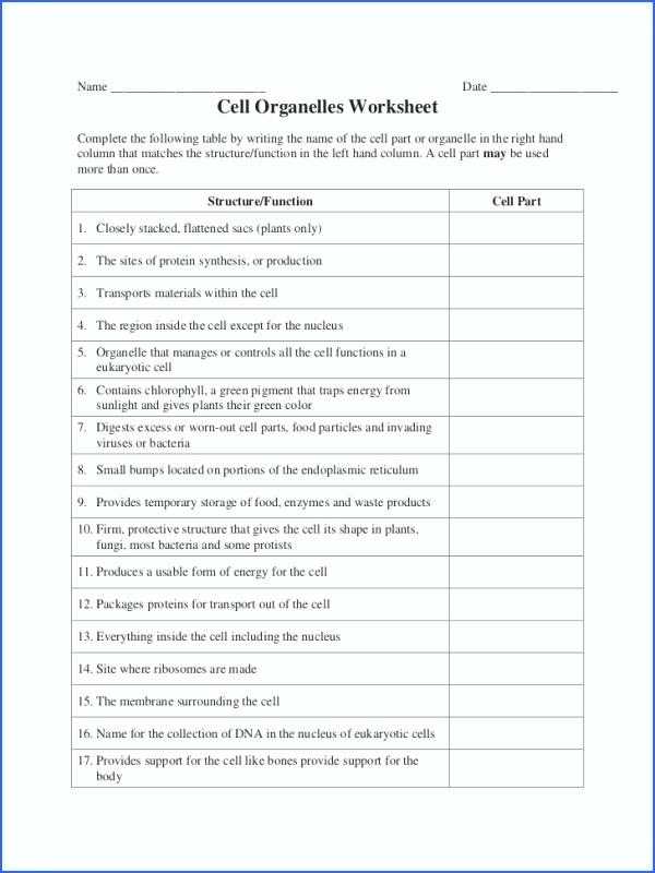 Chapter 10 Cell Growth and Division Worksheet Answer Key together with Cell organelles Review Worksheet Answers Choice Image Worksheet