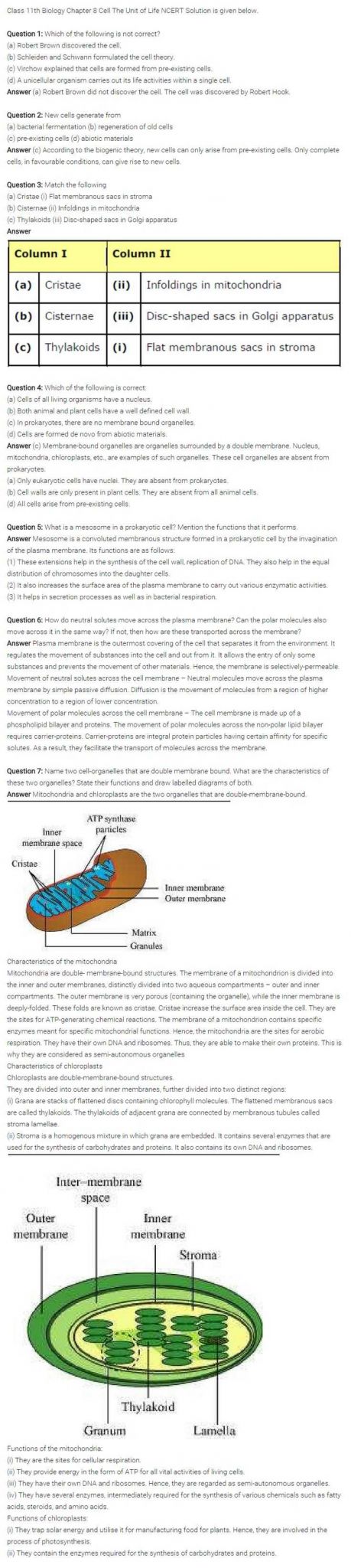 Chapter 7 Section 4 Cellular Transport Worksheet Answers Along with 23 Best Cbse Class 11 Biology Images On Pinterest