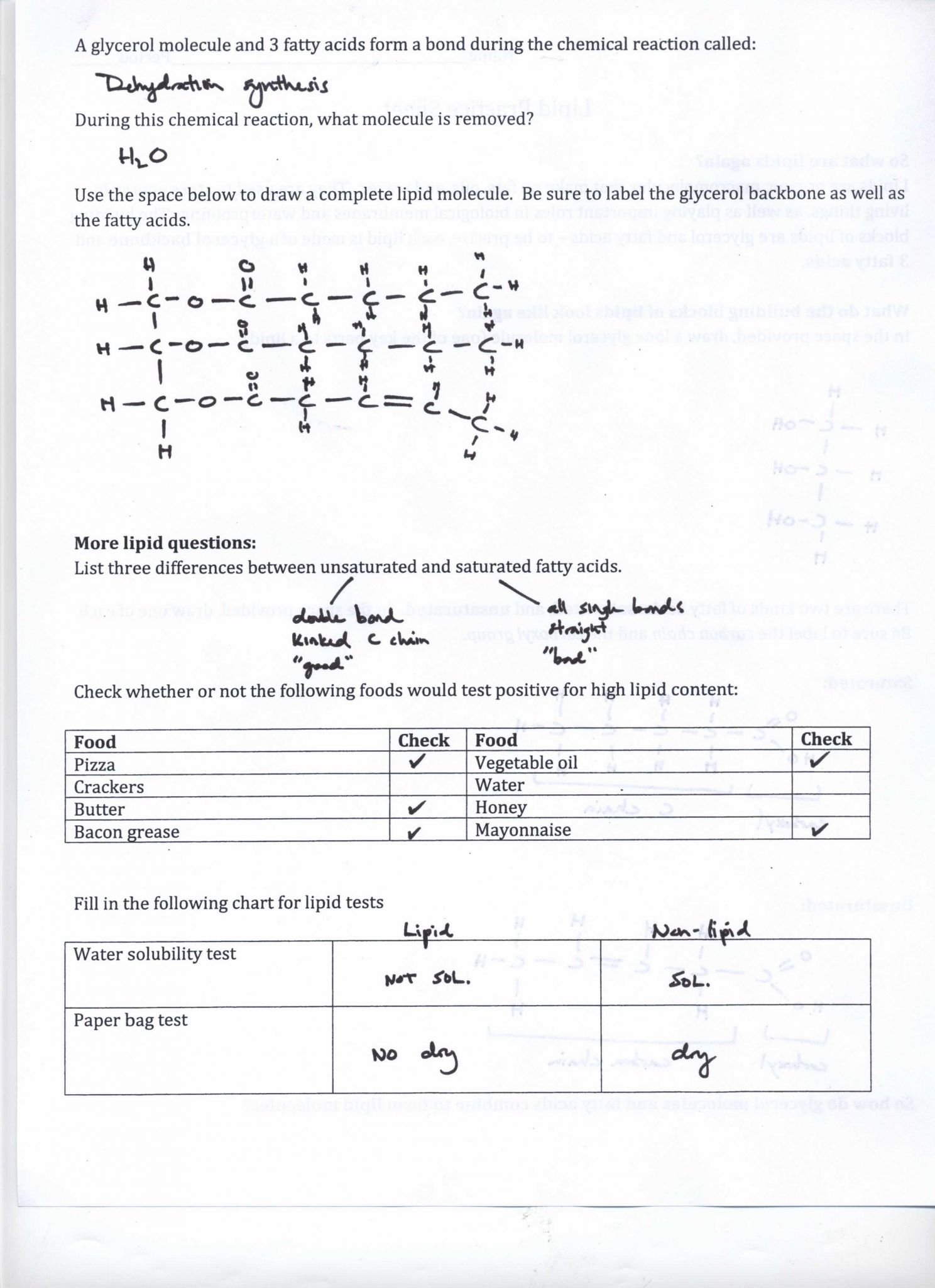 Chemistry Nomenclature Worksheet Answers as Well as 50 Elegant Image isotopes Ions and atoms Worksheet Answers