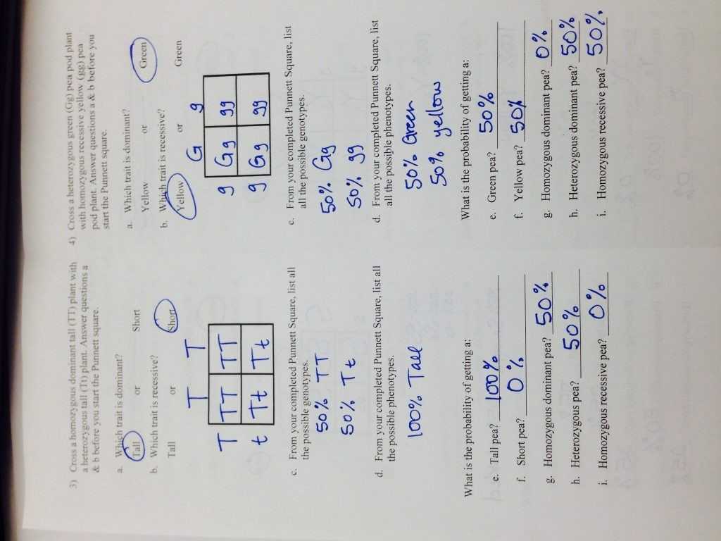 Chemistry Unit 7 Worksheet 2 Answers Along with Punnett Square Worksheet Human Characteristics Answers Image