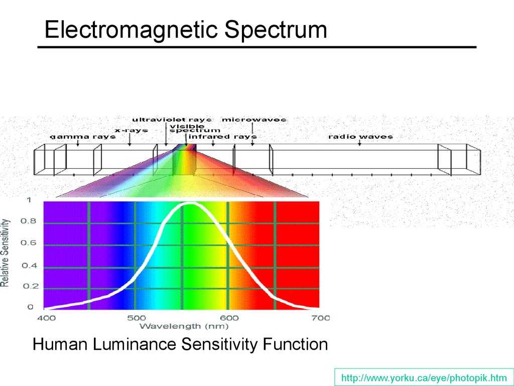 Chemistry Worksheet Wavelength Frequency and Energy Of Electromagnetic Waves Key Along with Capturing Light In Man and Machine Online Presentation