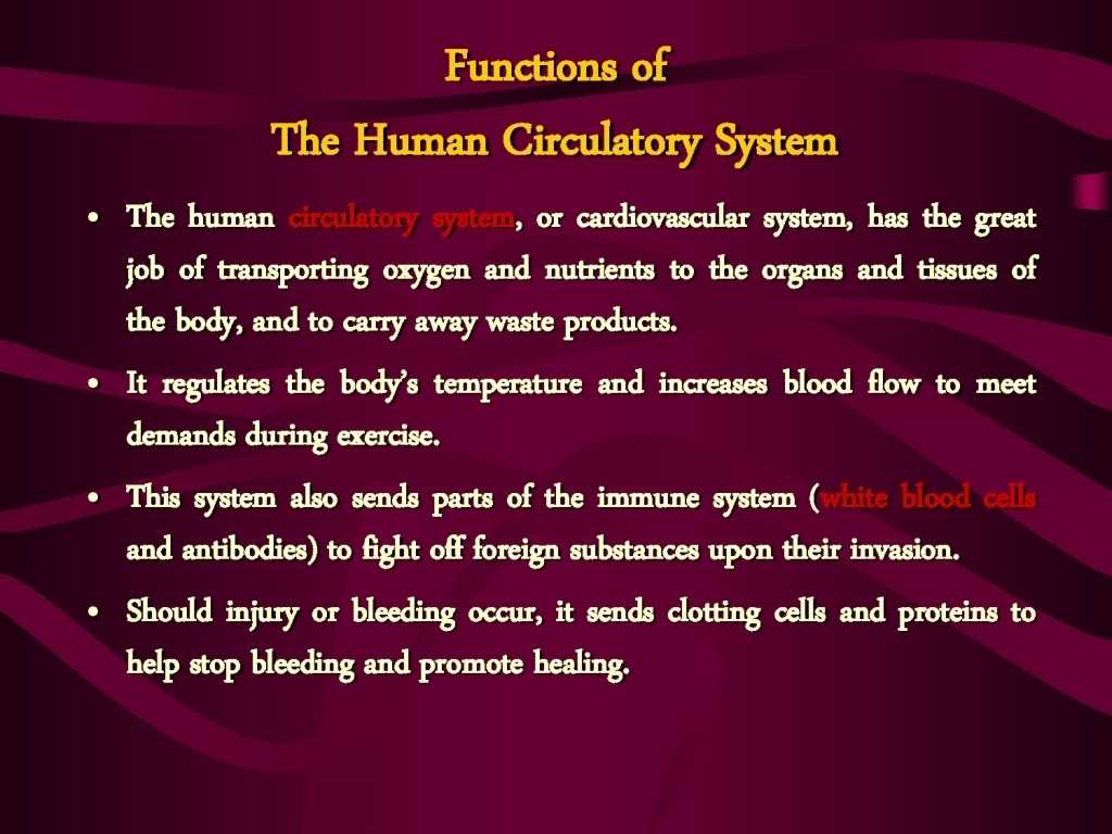 Circulatory System Study Questions Worksheet as Well as Circulatory System and their Functions