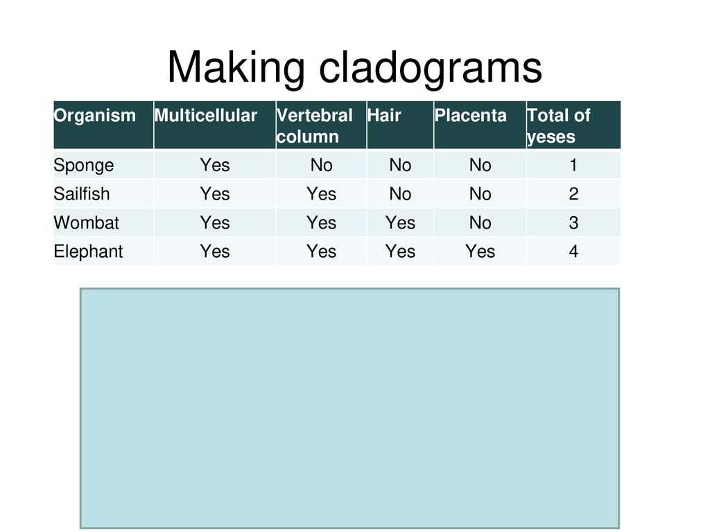 Cladogram Worksheet Answers together with Gene Pool Ppt