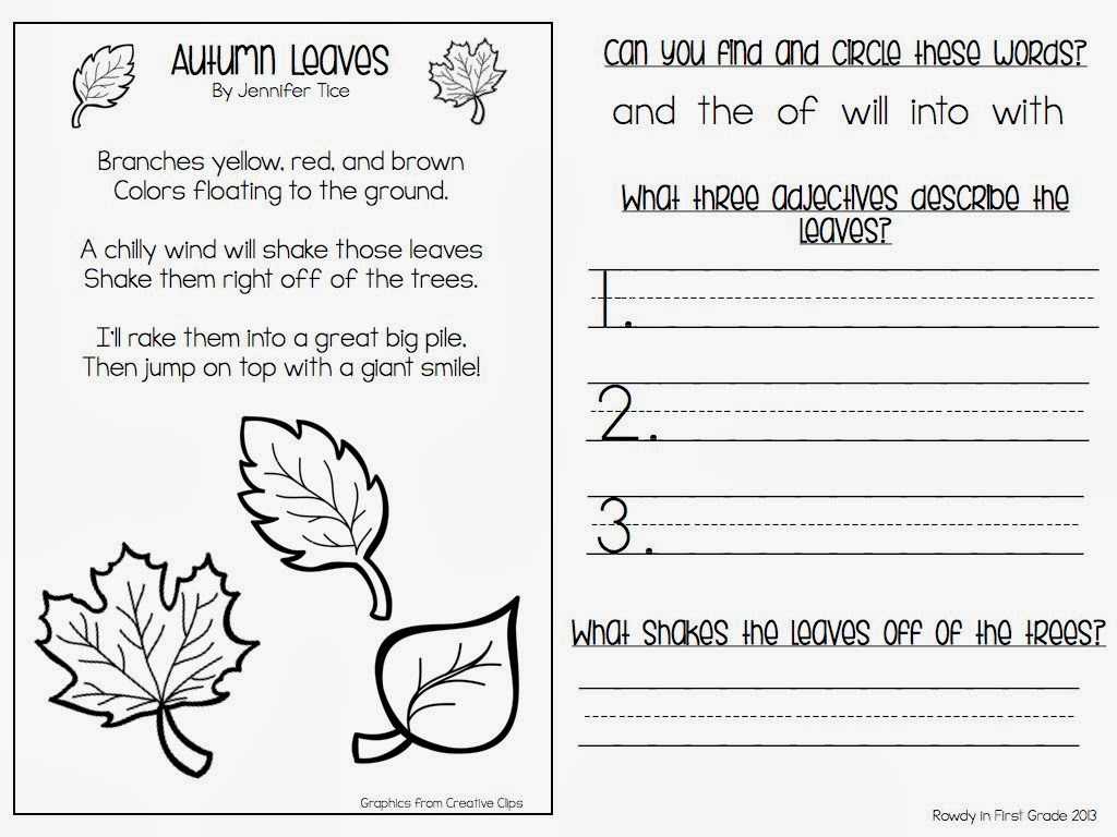 Comparing Plants Worksheet or Joyplace Ampquot Scatterplot Worksheets Noun Worksheets for 5th G