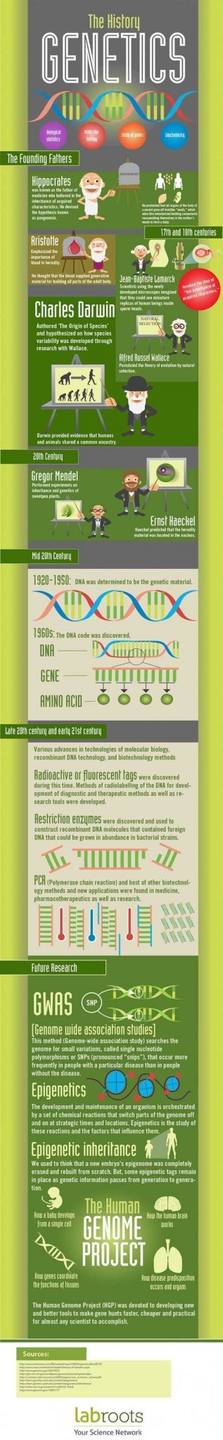 Cracking Your Genetic Code Worksheet as Well as 183 Best Genetics Images On Pinterest