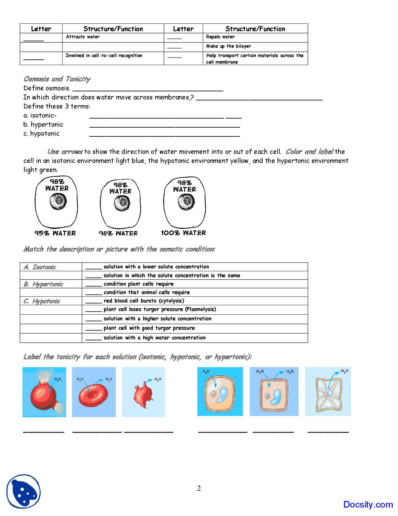Diffusion and Osmosis Worksheet Answers as Well as Cell Transport Quiz Osmosis Diffusion Membrane Coloring Worksheet