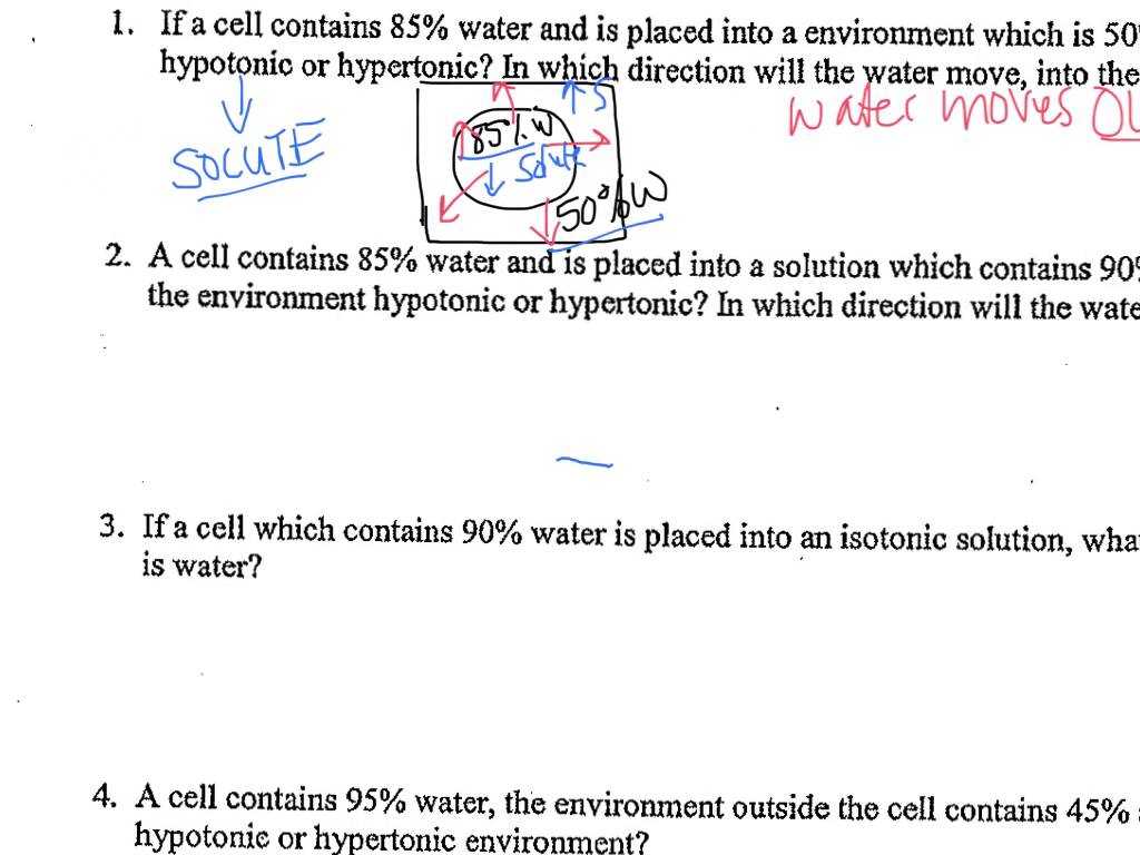 Diffusion and Osmosis Worksheet Answers Biology with Whats the Difference Between Diffusion and Osmosis Diffusio