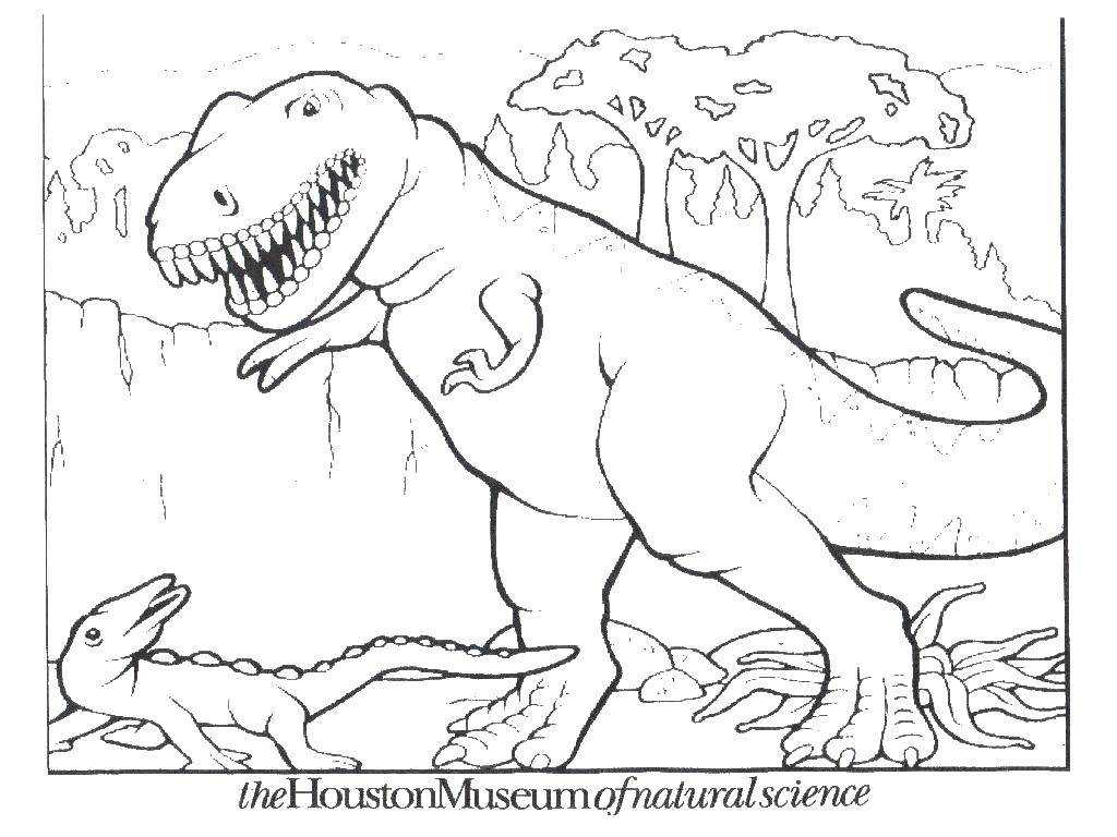 Dinosaur Worksheets for Preschool together with 24