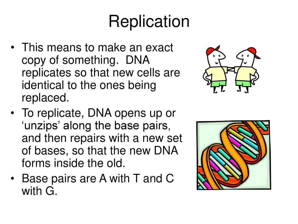 Dna and forensics Worksheet Answers and Dna What is It and How Does It Control Cells Ppt Downloa