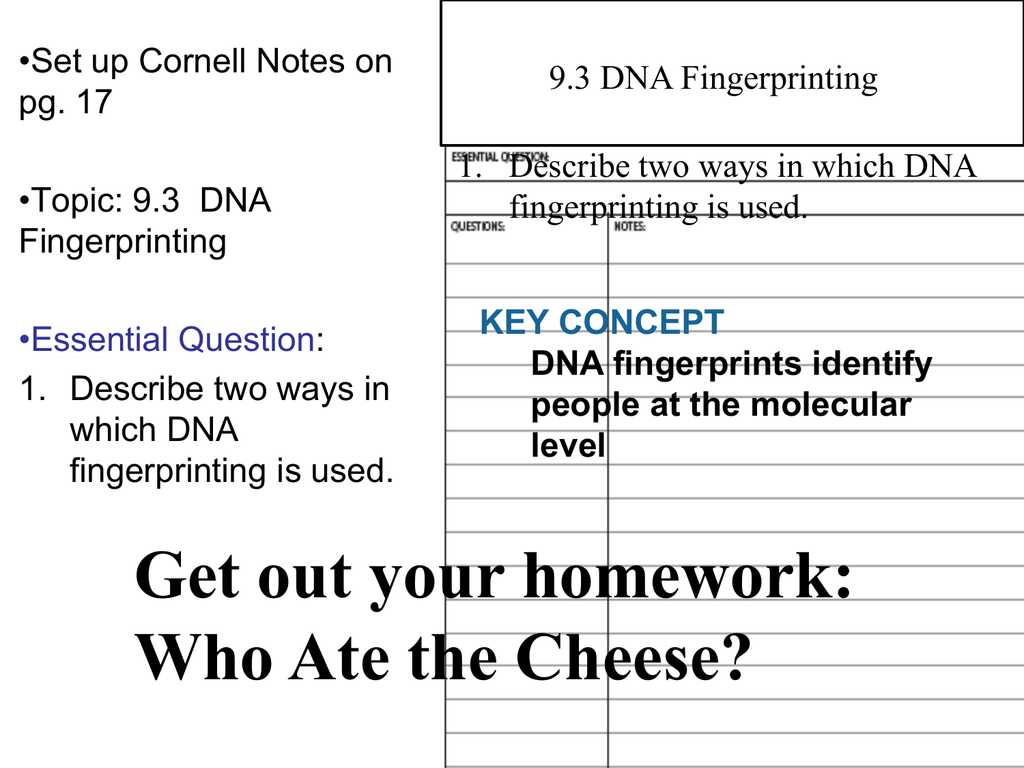 Dna Fingerprinting Worksheet Answers together with Dna Fingerprinting Worksheet Answers Image Collections Wor