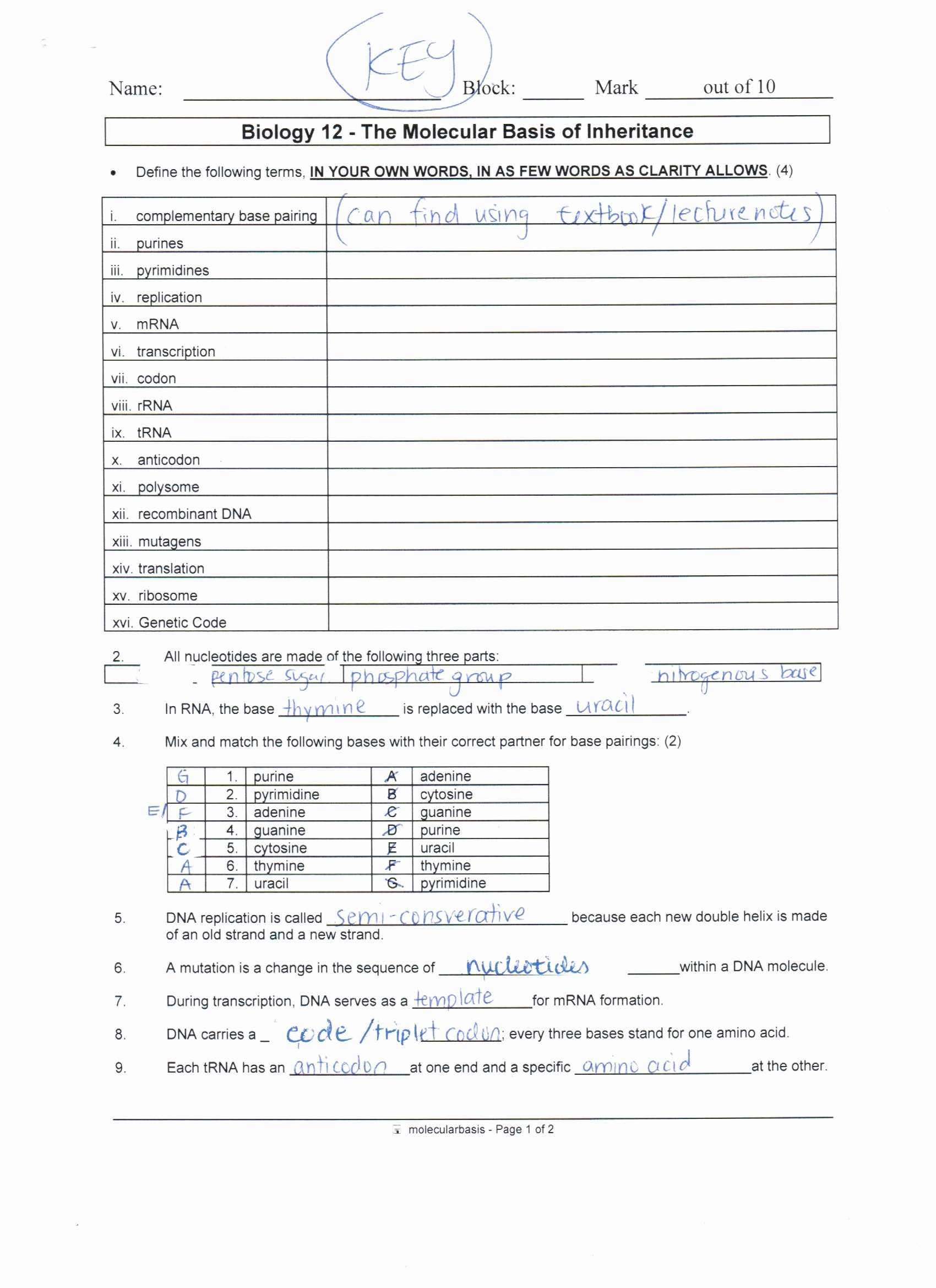 Dna Molecule and Replication Worksheet Answers together with 16 Awesome Worksheet Dna Rna and Protein Synthesis
