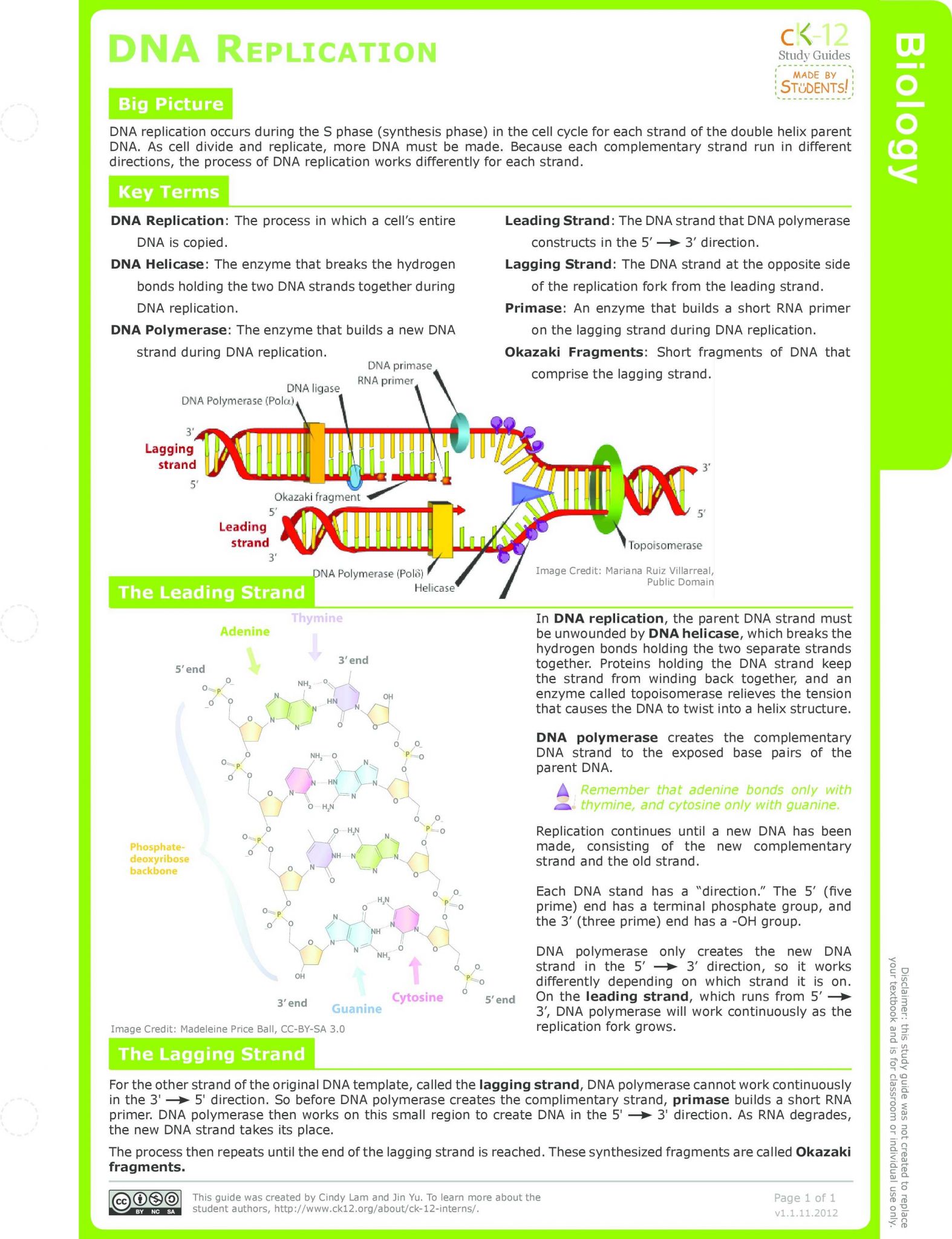 Dna Reading Comprehension Worksheet and Dna Structure and Replication Worksheet Answers Elegant Dna Rna