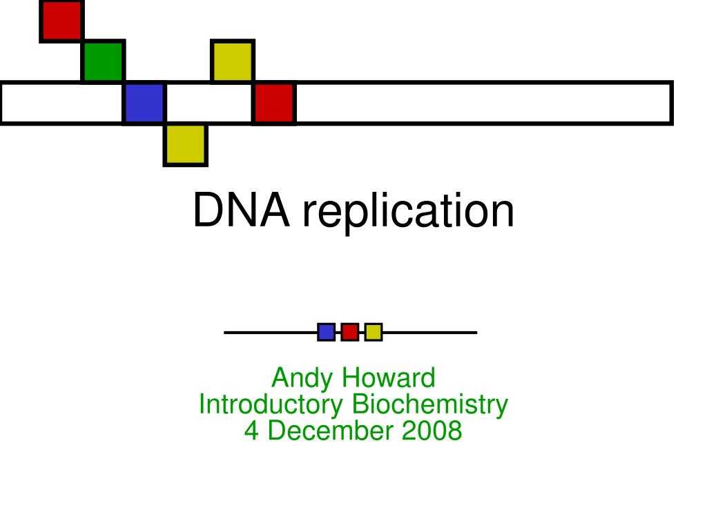 Dna Replication Worksheet or Ppt Dna Replication Powerpoint Presentation Id