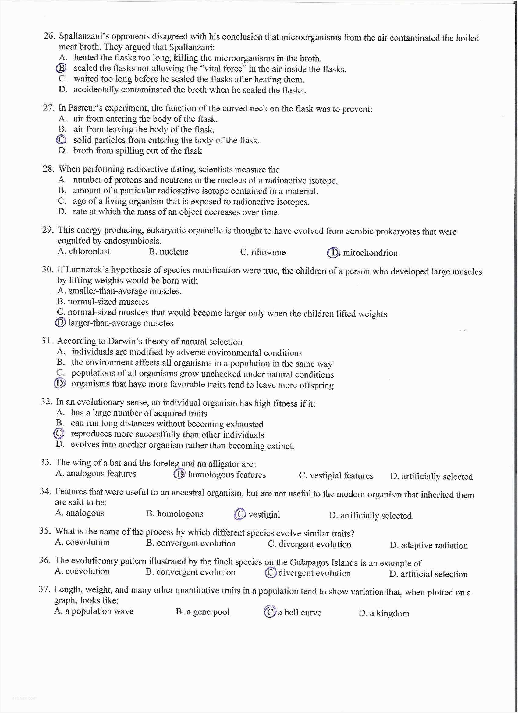 Dna Review Worksheet Also Search Results for “” – Sabaax