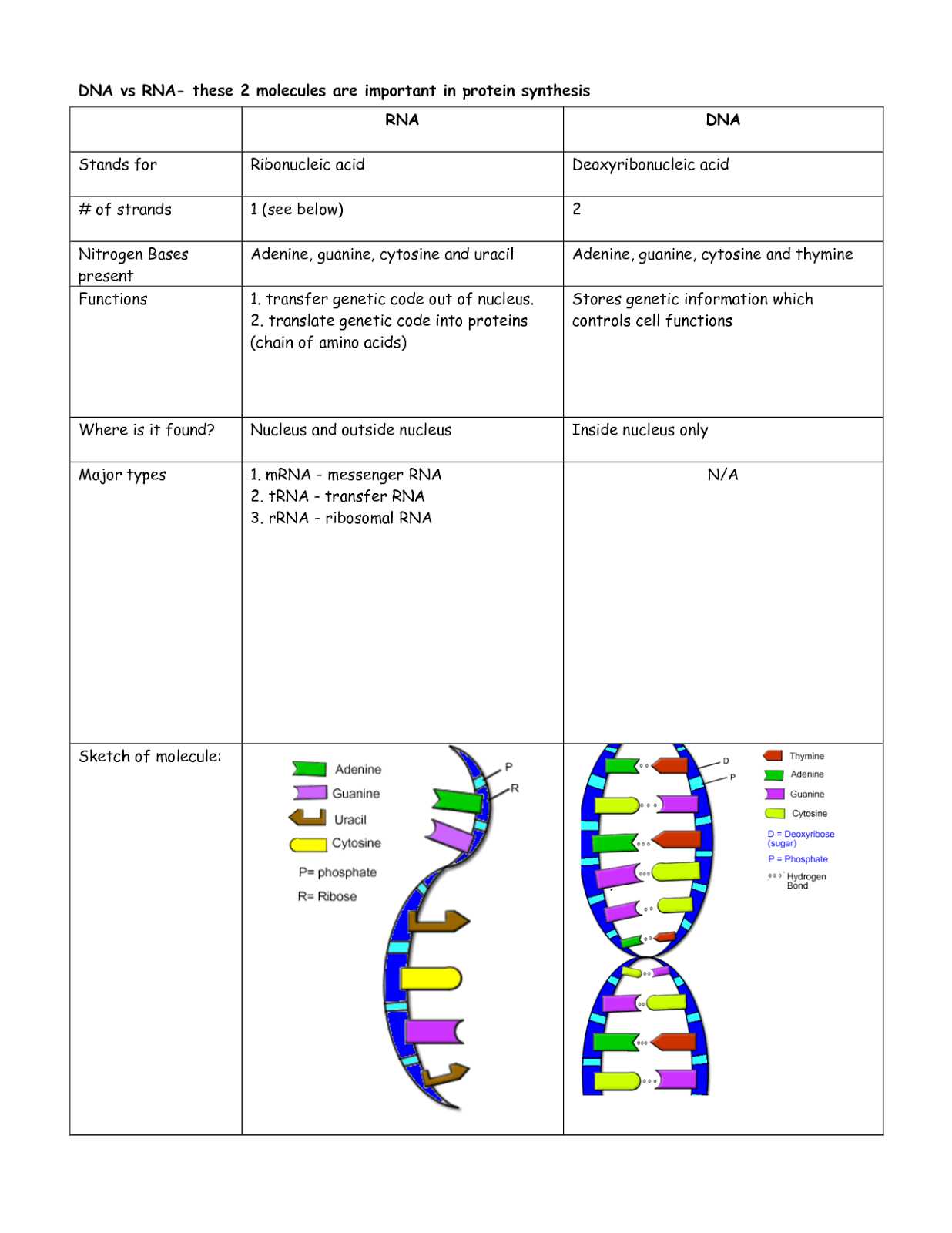 Dna Structure and Replication Worksheet Answer Key with Dna Replication Worksheet Key Gallery Worksheet for Kids In English