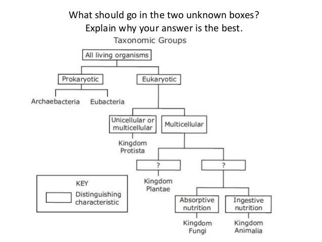 Domains and Kingdoms Worksheet as Well as Six Kingdoms Classification Chart Thinkpawsitive