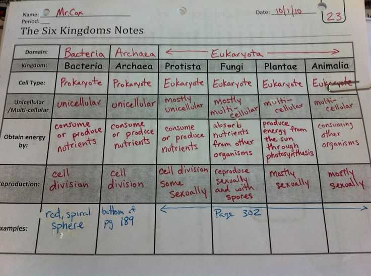 Domains and Kingdoms Worksheet with 124 Best 6th Grade Science Life Images On Pinterest
