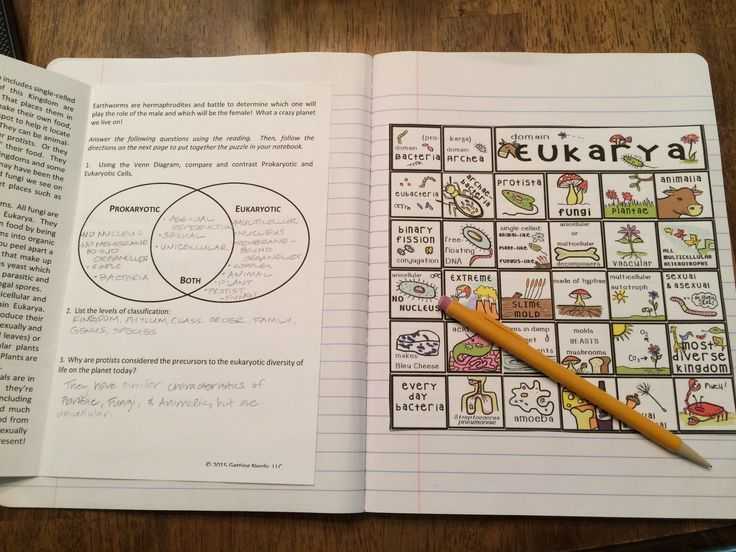 Domains and Kingdoms Worksheet with Six Kingdoms Of Life Interactive Notebook Puzzle