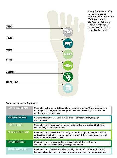 Ecological Footprint Worksheet Along with 7 Best Ecological Footprint and Environmental issues Images On