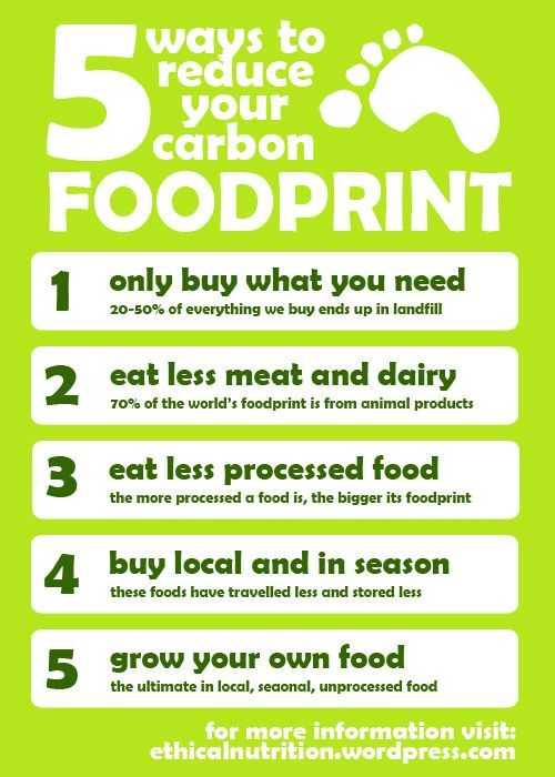 Ecological Footprint Worksheet Along with Reduce Your Carbon Footprint Green Ecological tote Bag