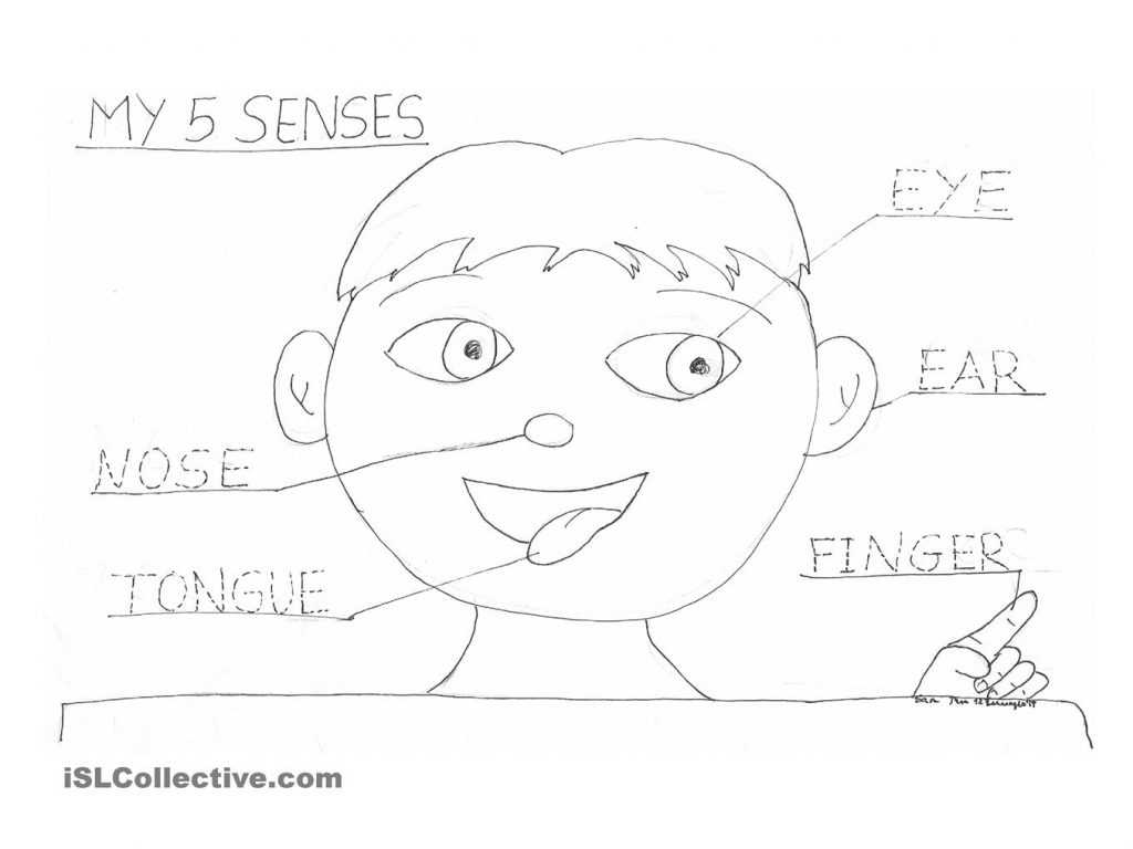 Emotion Focused therapy Worksheets and Senses Coloring Pages and Coloring Pages
