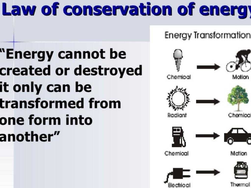 Energy Transfer In Living organisms Worksheet and Energy by Garry Joseph