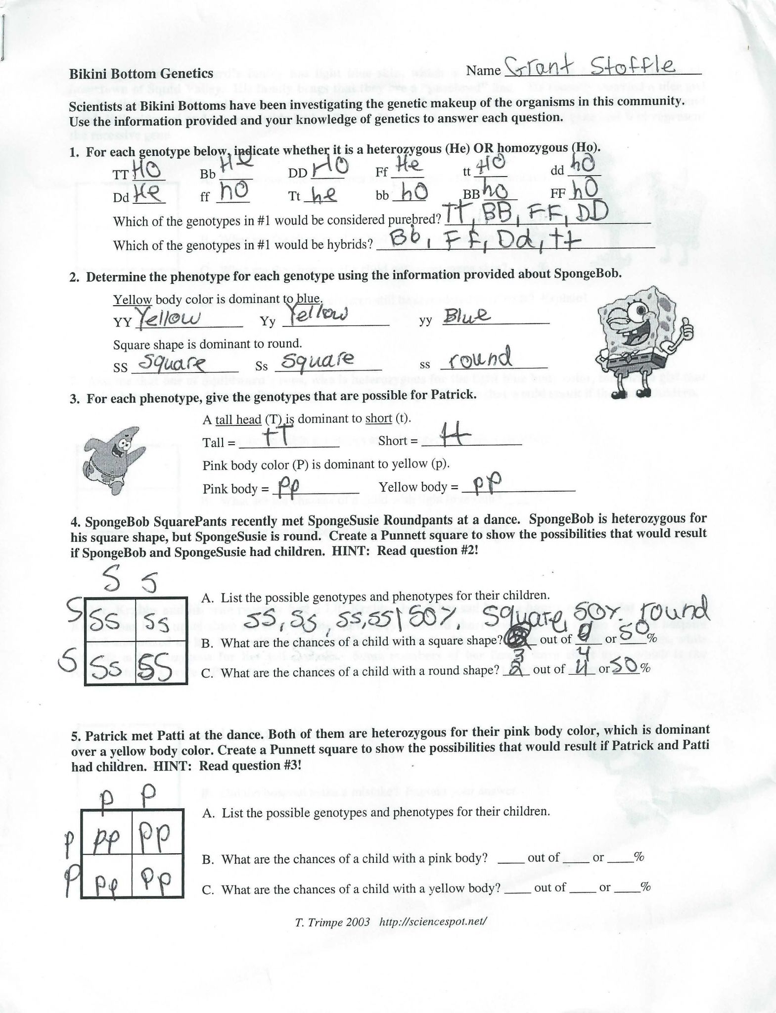 Factoring Difference Of Squares Worksheet Answers together with Punnett Square Worksheet 1 Answers Image Collections Worksheet for