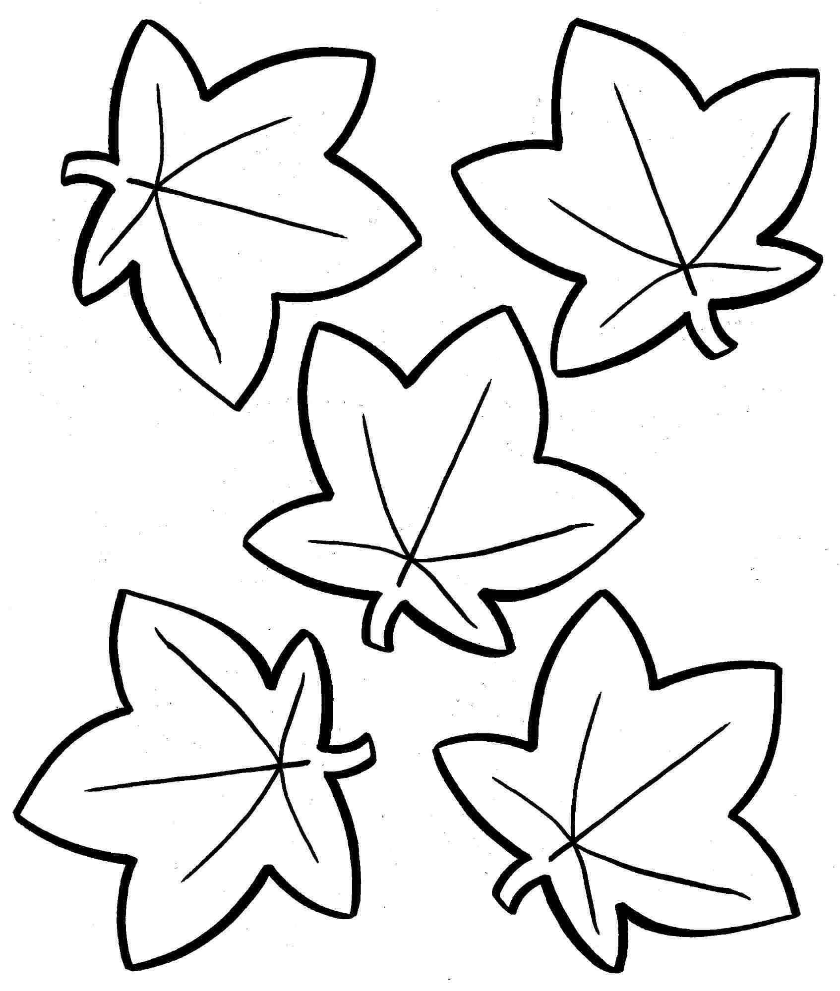 Fall Worksheets for Preschool together with Printable Fall Leaves Coloring Pages Heathermarxgallery