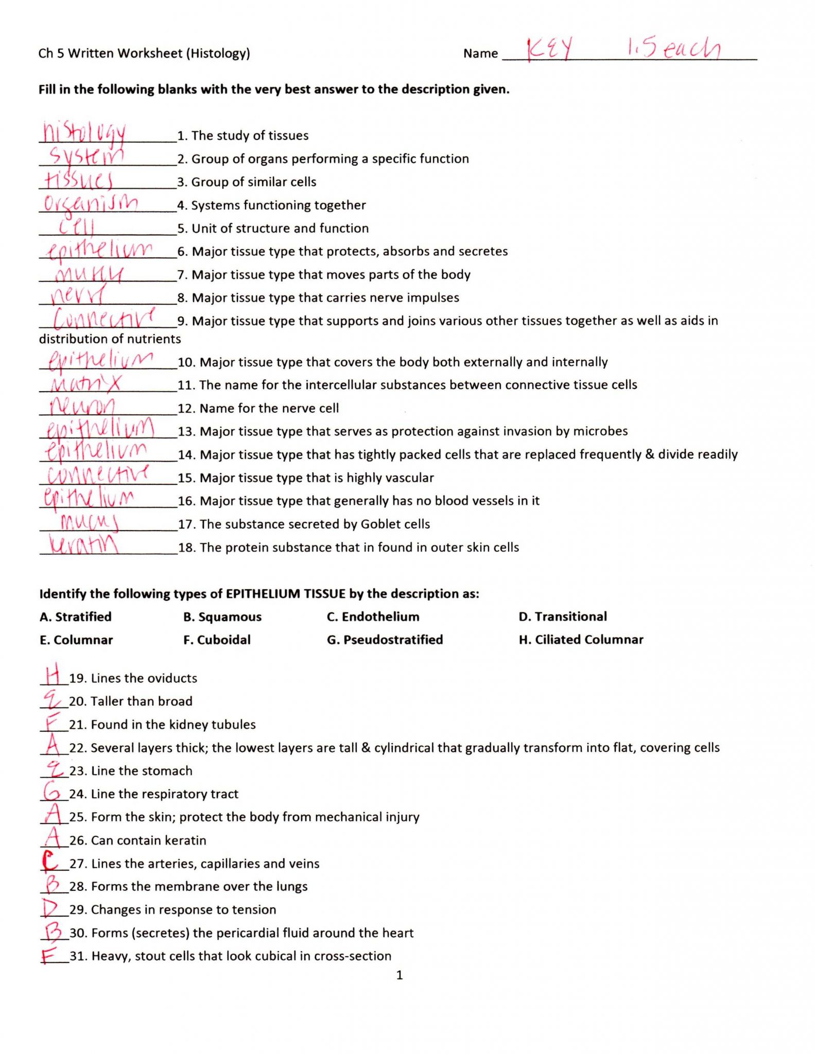 Fill In the Unit Circle Worksheet or Erfreut Anatomy and Physiology Chapter 10 Blood Worksheet Answers