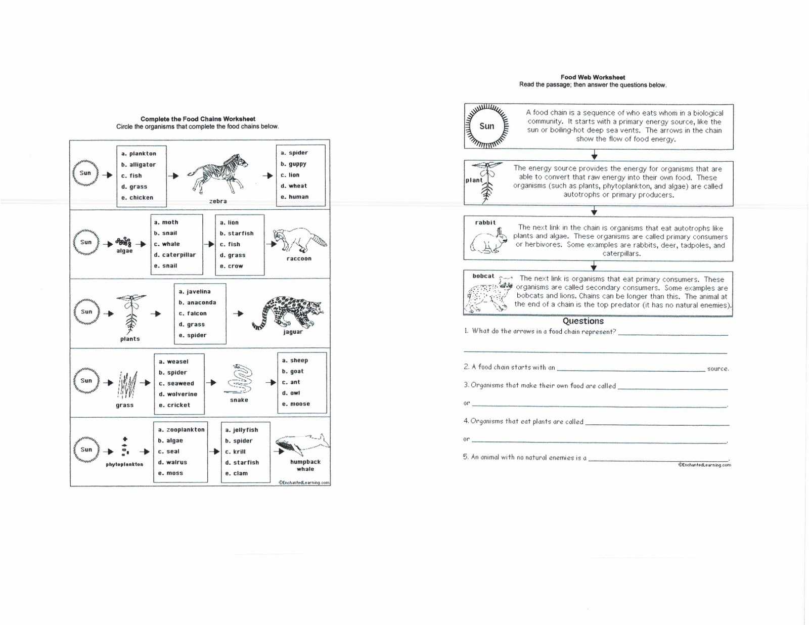 Food Inc Worksheet Answer Key Also Dr Gayden S Seventh Grade Science Class
