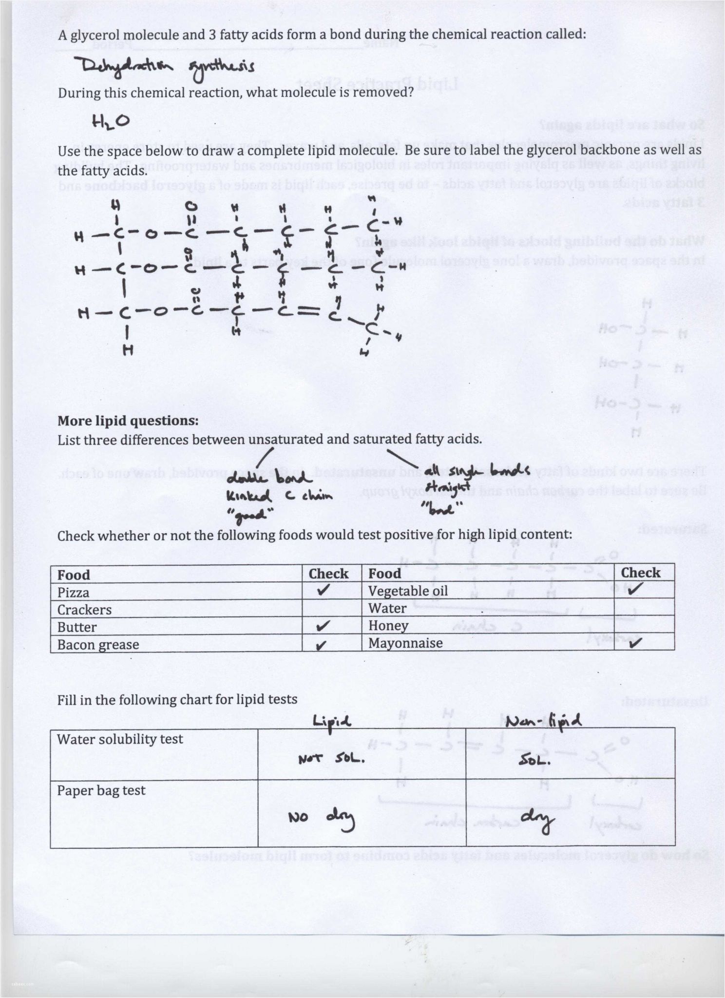 Food Inc Worksheet Answer Key as Well as Good Protein Structure Pogil Worksheet Answers – Sabaax