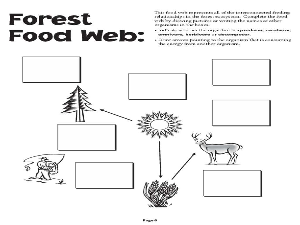 Food Webs and Food Chains Worksheet Also Food Chain and Food Web Worksheet Worksheets Tutsstar Thou